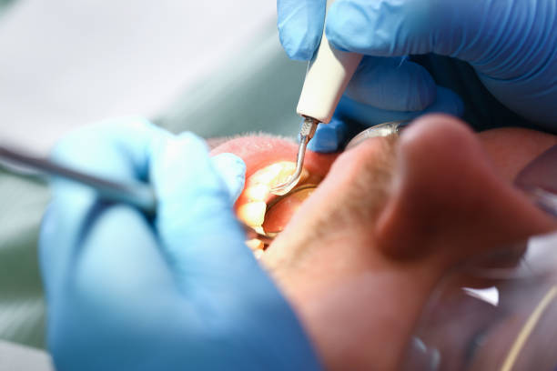 Best Emergency Dental Services for Seniors in Cape Neddick, ME